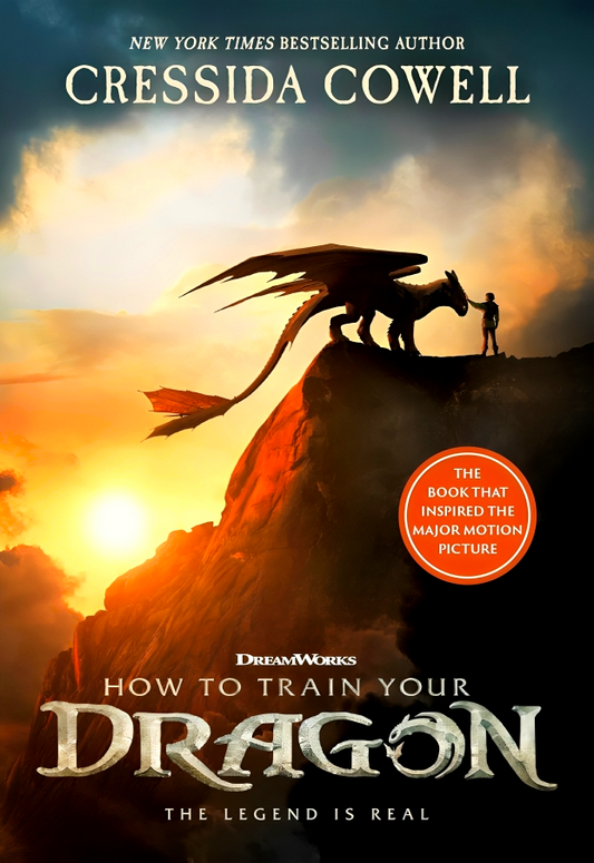 How To Train Your Dragon