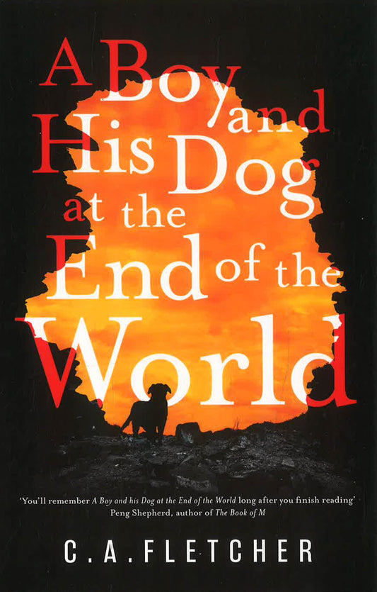 A Boy And His Dog At The End Of The World