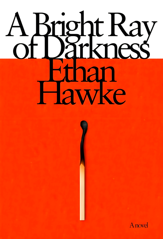 A Bright Ray of Darkness: A novel