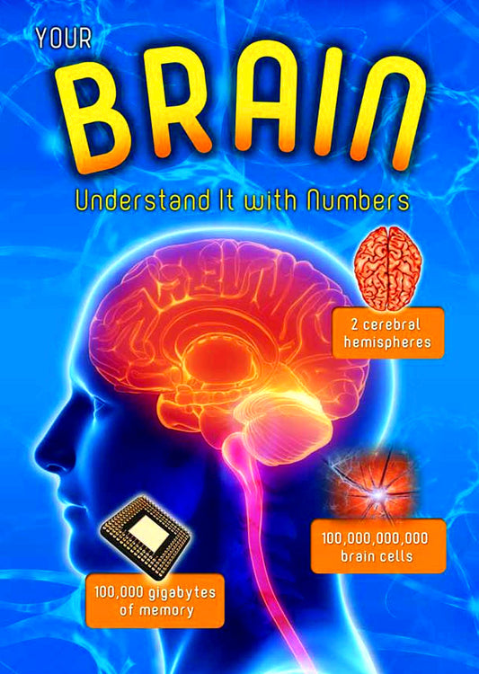 Your Brain