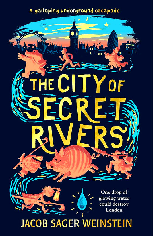 The City Of Secret Rivers