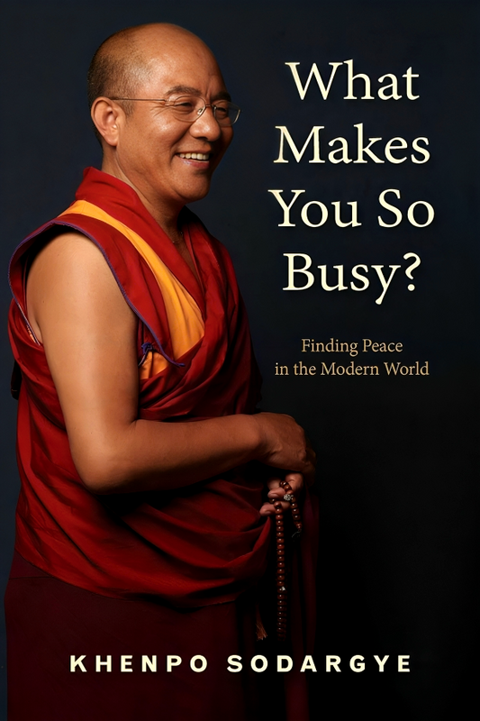 What Makes You So Busy?: Finding Peace In The Modern World