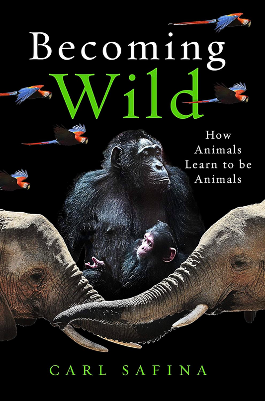 [Original Price: RM24.90] Becoming Wild