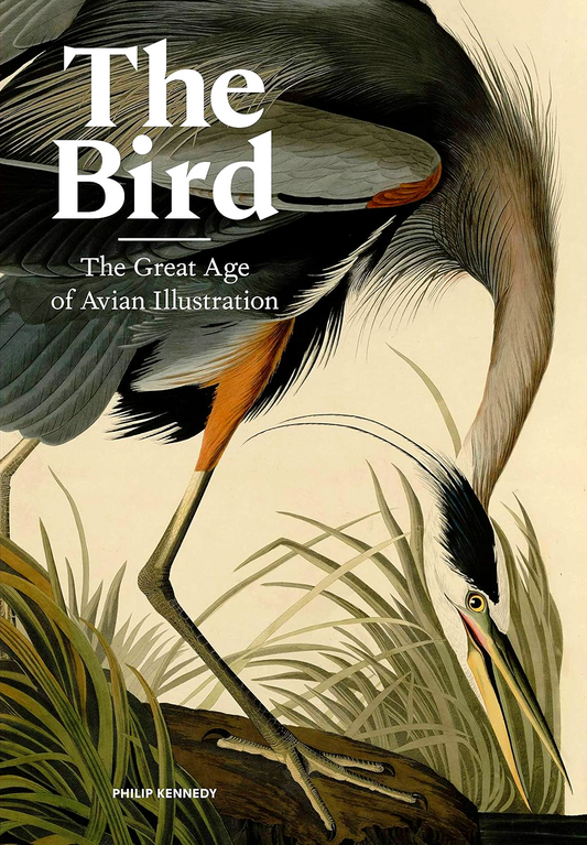 The Bird: The Great Age Of Avian Illustration