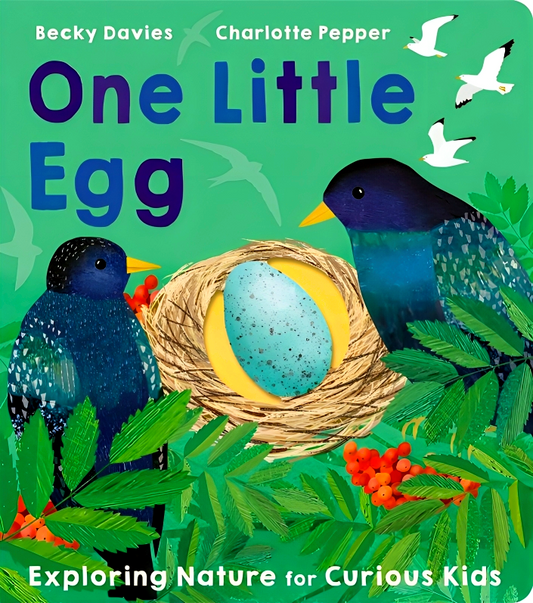 One Little Egg: Exploring Nature for Curious Kids