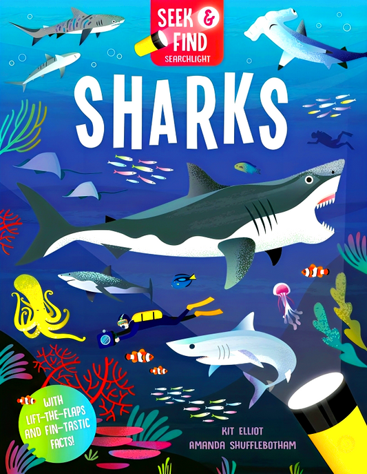 Seek And Find Searchlight: Sharks