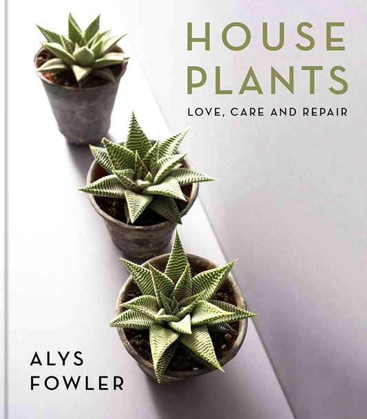 House Plants