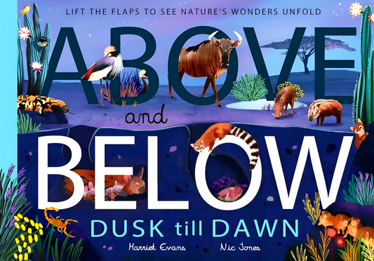 Above And Below Dusk Till Dawn