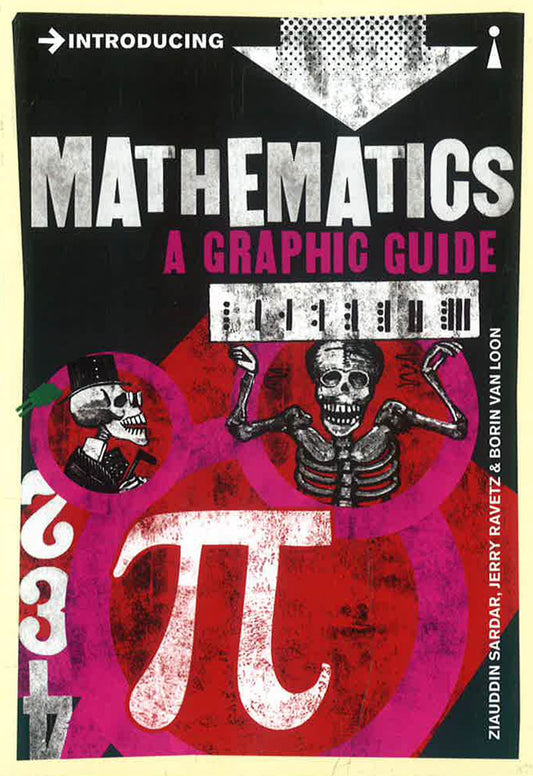 Introducing Mathematics: A Graphic Guide