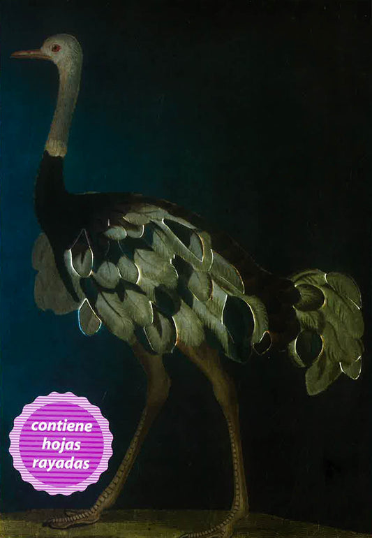 Birds (Blank Notebook)
