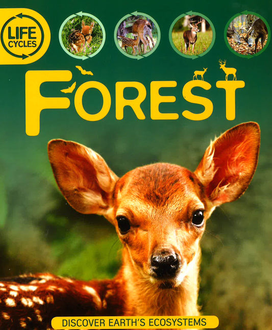 Life Cycles: Forest