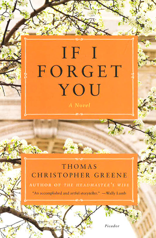 If I Forget You