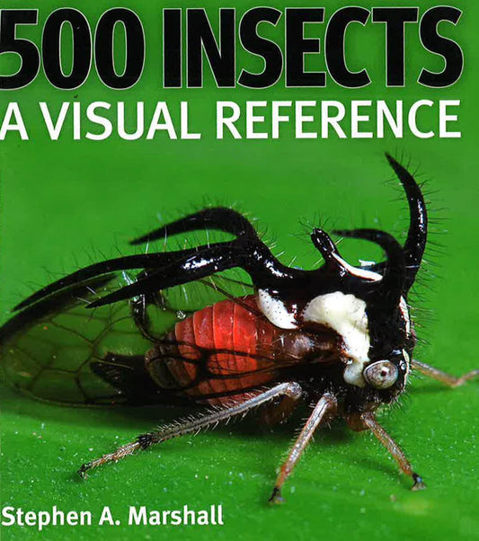 500 Insects: A Visual Reference