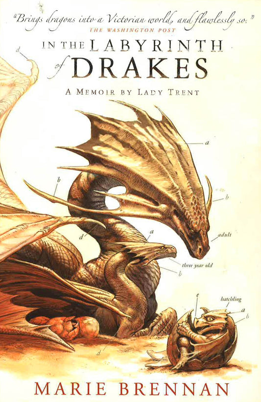In The Labyrinth Of Drakes