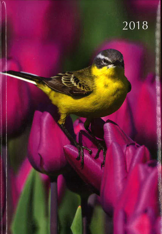 Birds 2018 A5 Padded Diary