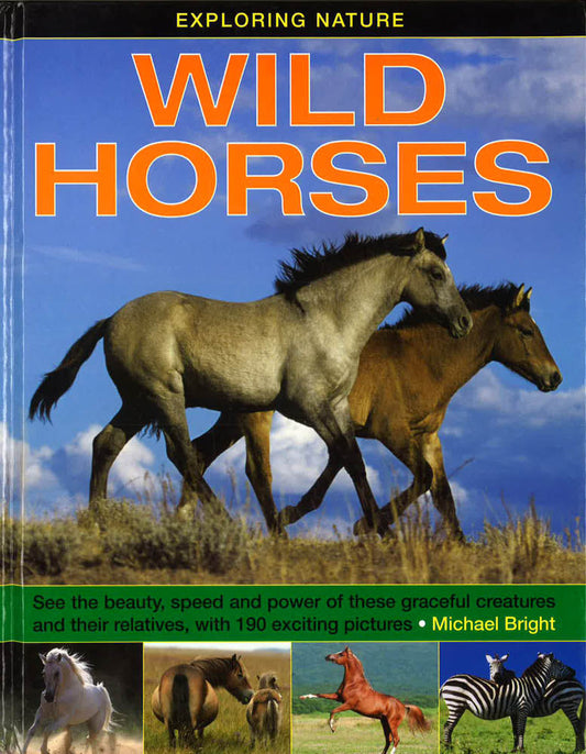Exploring Nature: Wild Horses