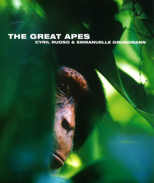The Great Apes