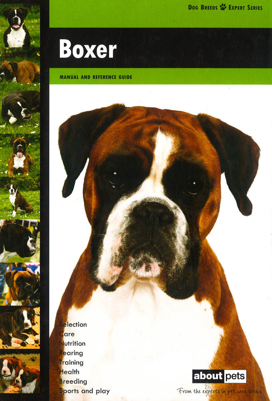 Boxer