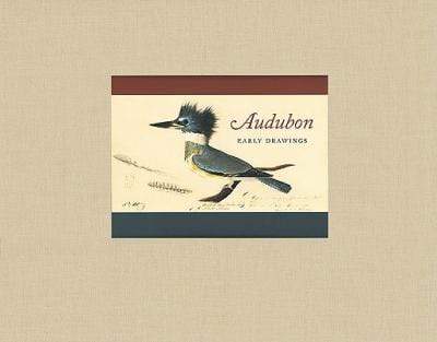 Audubon : Early Drawings