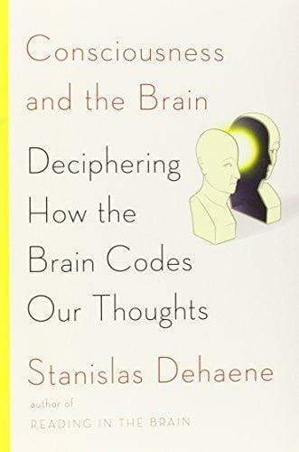 Consciousness And The Brain