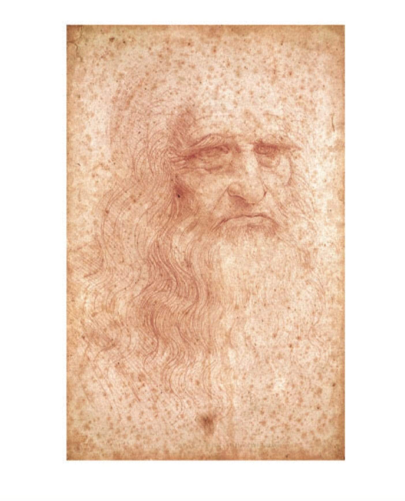 POSTERS: LEONARDO DA VINCI (THE POSTER COLLECTION)
