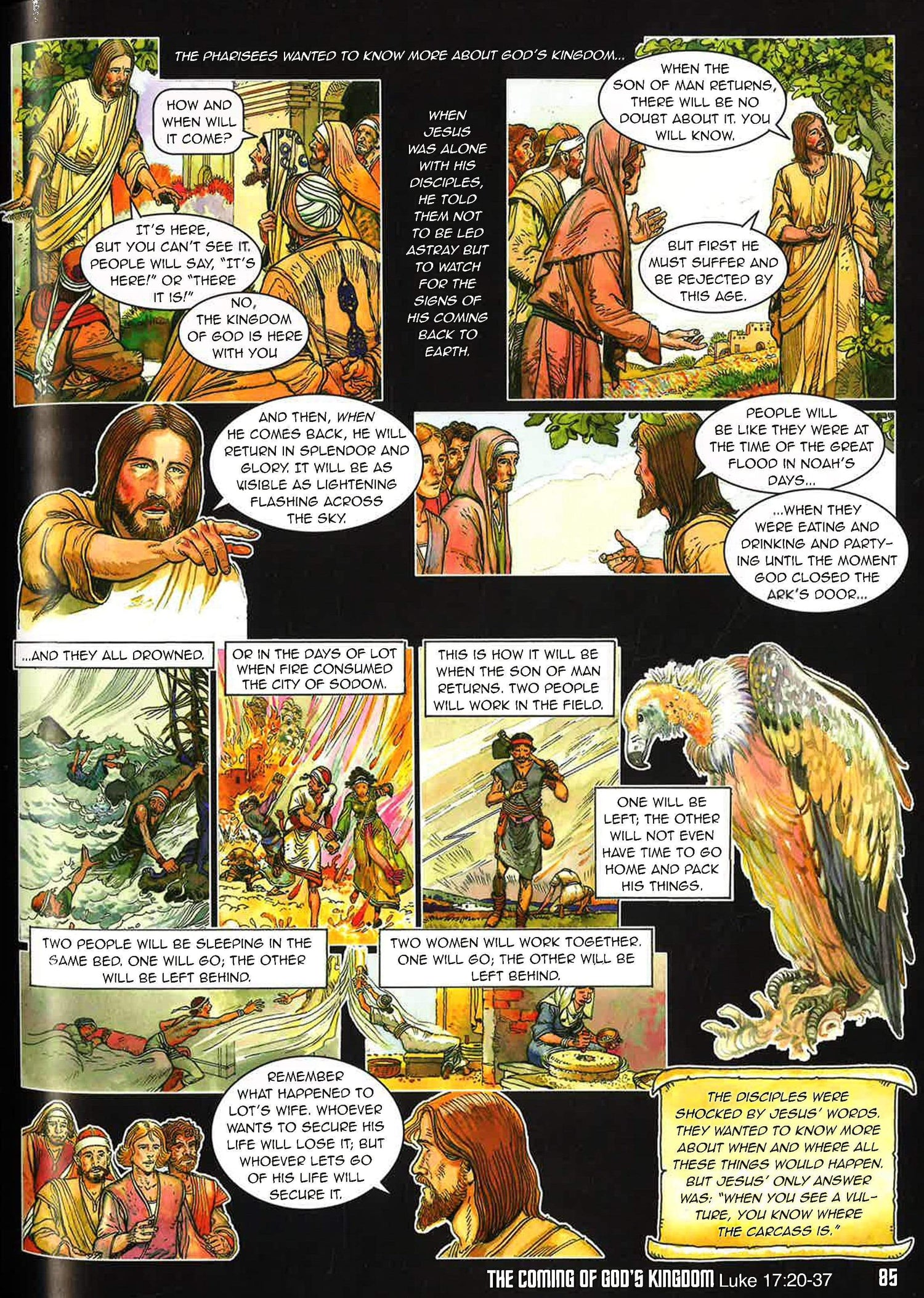 The Life Of Jesus